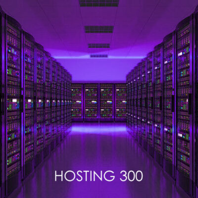 Hosting 300